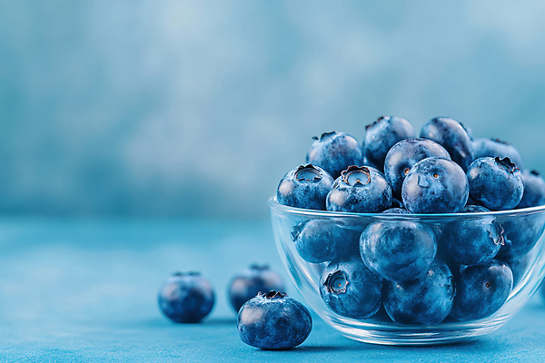 JPG 편집이미지 사람없음 파란색 신선 블루베리 유리그릇 싱그러움 편집실사 AI포토 AI콘텐츠 그릇 컬러 과일 유리 CG 파일형식
