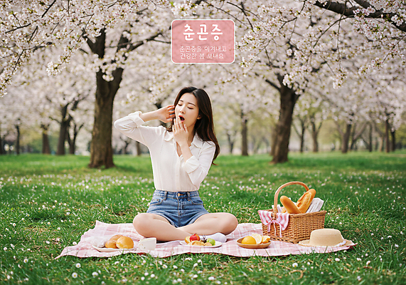 전신 PSD 편집이미지 공원 여자 한명 잔디 성인 야외 햇빛 소풍 손들기 봄 벚나무 바게트 졸음 돗자리 가부좌 하품 입가림 소풍바구니 춘곤증 의료성형뷰티 성인여자한명만 이미지편집 나무 식물 1 계절 공공시설 감정 빵 모션 사람 앉기 태양 야외활동 바구니 벚꽃 가림 질병 생리현상 여자한명만 성인여자만 파일형식