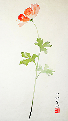 PSD 전통 디자인 잎 한송이 일러스트 사람없음 한지 한국화 감성 아네모네 인장 국내일러스트 식물 1 꽃 종이 컨셉 동양화 송이 파일형식