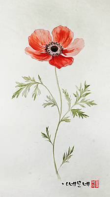 PSD 전통 디자인 잎 한송이 일러스트 사람없음 한지 한국화 감성 아네모네 인장 국내일러스트 식물 1 꽃 종이 컨셉 동양화 송이 파일형식