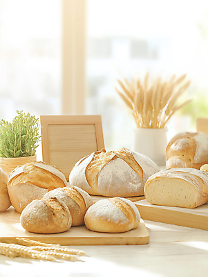 JPG 식물 편집이미지 화분 액자 식탁 사람없음 햇빛 밀 창가 나무도마 베이지색 맛있는 사워도우 편집실사 AI포토 AI콘텐츠 빵 컬러 창문 탁자 곡류 도마 목재 태양 CG 파일형식