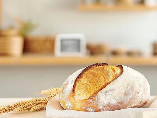 JPG 편집이미지 식탁 사람없음 주방 밀 천 베이지색 맛있는 사워도우 편집실사 AI포토 AI콘텐츠 빵 컬러 탁자 곡류 직물 CG 파일형식