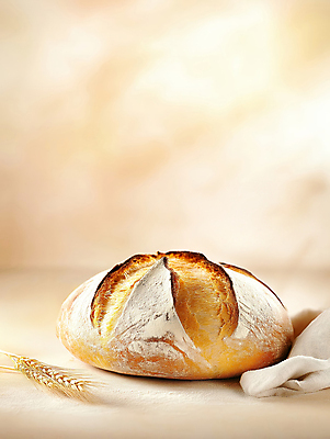 JPG 편집이미지 식탁 사람없음 햇빛 밀 천 베이지색 맛있는 사워도우 편집실사 AI포토 AI콘텐츠 빵 컬러 탁자 곡류 태양 직물 CG 파일형식