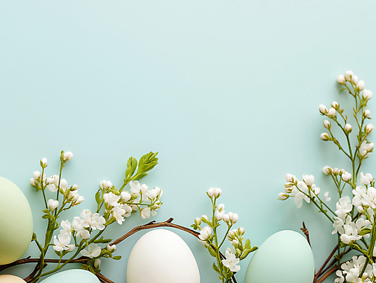 JPG 편집이미지 꽃 기독교 분홍색 사람없음 나뭇가지 풀잎 부활절계란 편집실사 AI포토 AI콘텐츠 나무 식물 종교 컬러 잎 부활절 계란 풀_식물 CG 파일형식