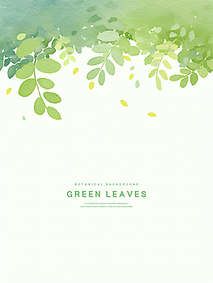 PSD 백그라운드 잎 일러스트 수채화 사람없음 연두색 카피스페이스 국내일러스트 식물 초록색 공백 파일형식
