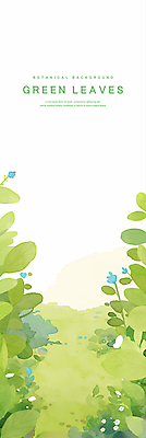 PSD 백그라운드 잎 일러스트 수채화 사람없음 연두색 카피스페이스 국내일러스트 식물 초록색 공백 파일형식