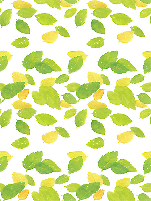 JPG 백그라운드 잎 일러스트 사람없음 연두색 드로잉 국내일러스트 AI일러스트 AI콘텐츠 식물 미술 초록색 파일형식