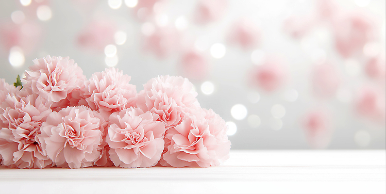 JPG 편집이미지 분홍색 사람없음 어버이날 스승의날 카네이션 감사 보케 가정의달 편집실사 AI포토 AI콘텐츠 기념일 꽃 감정 컬러 5월 CG 파일형식