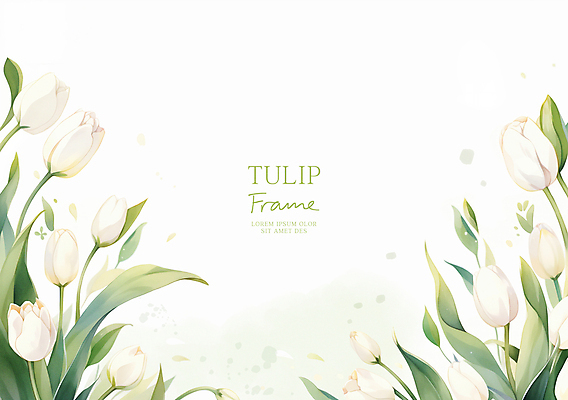 PSD 잎 일러스트 봄꽃 수채화 사람없음 연두색 튤립 흰색 꽃프레임 카피스페이스 국내일러스트 식물 꽃 컬러 프레임 초록색 봄 공백 파일형식