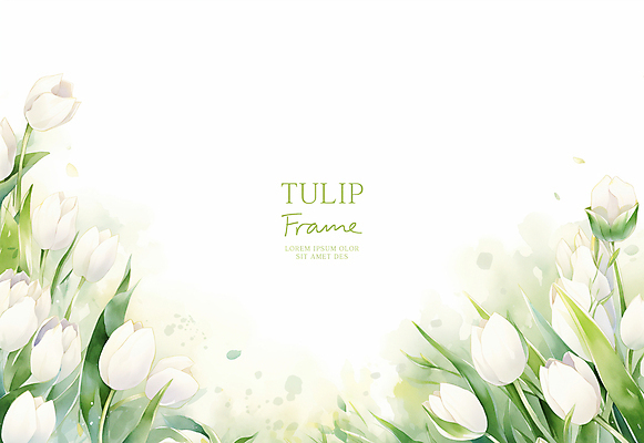 PSD 잎 일러스트 봄꽃 수채화 사람없음 연두색 튤립 흰색 꽃프레임 카피스페이스 국내일러스트 식물 꽃 컬러 프레임 초록색 봄 공백 파일형식
