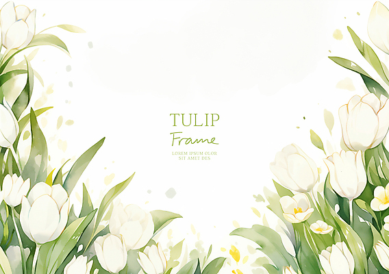 PSD 잎 일러스트 봄꽃 수채화 사람없음 연두색 튤립 흰색 꽃프레임 카피스페이스 국내일러스트 식물 꽃 컬러 프레임 초록색 봄 공백 파일형식