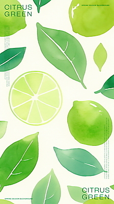 PSD 잎 일러스트 단면 수채화 사람없음 초록색 신선 라임 국내일러스트 식물 컬러 과일 파일형식