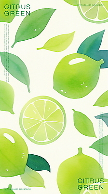 PSD 잎 일러스트 단면 수채화 사람없음 초록색 신선 라임 국내일러스트 식물 컬러 과일 파일형식