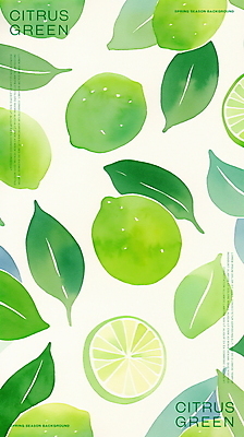 PSD 잎 일러스트 단면 수채화 사람없음 초록색 신선 라임 국내일러스트 식물 컬러 과일 파일형식