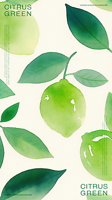 PSD 잎 일러스트 수채화 사람없음 초록색 신선 라임 국내일러스트 식물 컬러 과일 파일형식