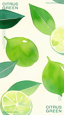 PSD 잎 일러스트 단면 수채화 사람없음 초록색 신선 라임 국내일러스트 식물 컬러 과일 파일형식