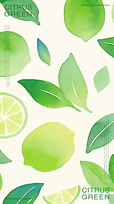 PSD 잎 일러스트 단면 수채화 사람없음 초록색 신선 라임 국내일러스트 식물 컬러 과일 파일형식