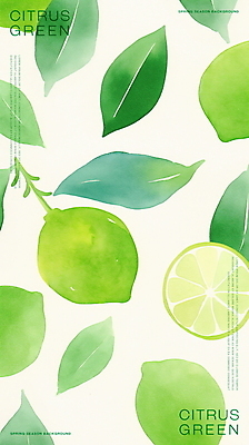 PSD 잎 일러스트 단면 수채화 사람없음 초록색 신선 라임 국내일러스트 식물 컬러 과일 파일형식