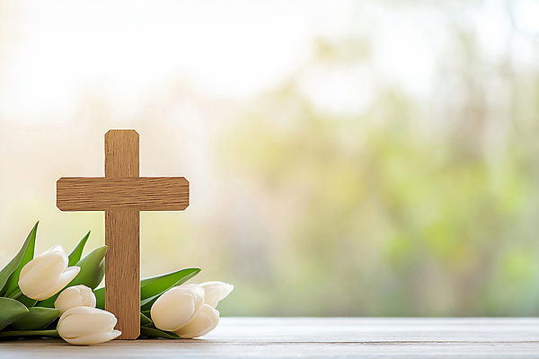 JPG 편집이미지 기독교 사람없음 햇빛 천주교 튤립 풀잎 나무십자가 편집실사 AI포토 AI콘텐츠 꽃 종교 십자가 잎 태양 풀_식물 CG 파일형식