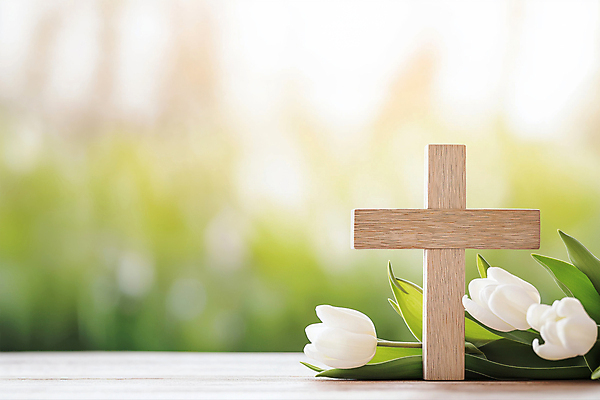 JPG 편집이미지 기독교 사람없음 햇빛 천주교 튤립 풀잎 나무십자가 편집실사 AI포토 AI콘텐츠 꽃 종교 십자가 잎 태양 풀_식물 CG 파일형식