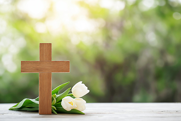 JPG 편집이미지 기독교 사람없음 햇빛 천주교 튤립 풀잎 나무십자가 편집실사 AI포토 AI콘텐츠 꽃 종교 십자가 잎 태양 풀_식물 CG 파일형식