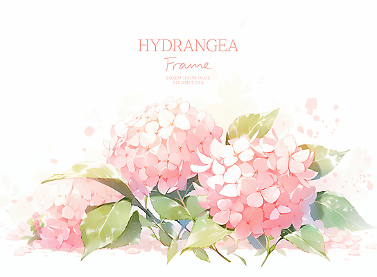 PSD 분홍색 잎 일러스트 여름꽃 수채화 사람없음 수국 꽃프레임 카피스페이스 국내일러스트 식물 꽃 컬러 프레임 공백 파일형식 여름_계절