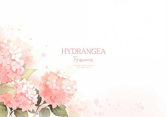 PSD 분홍색 잎 일러스트 여름꽃 수채화 사람없음 수국 꽃프레임 카피스페이스 국내일러스트 식물 꽃 컬러 프레임 공백 파일형식 여름_계절