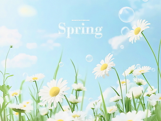 PSD 구름 하늘색 꽃밭 일러스트 자연 하늘 잔디 사람없음 맑음 봄풍경 물방울 비눗방울 데이지 화창 국내일러스트 자연요소 식물 꽃 날씨 풍경 파란색 봄 생태계 파일형식