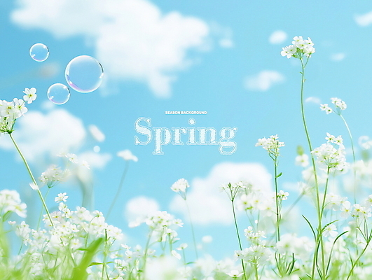 PSD 구름 하늘색 꽃밭 일러스트 자연 하늘 사람없음 맑음 봄풍경 물방울 비눗방울 화창 국내일러스트 자연요소 꽃 날씨 풍경 파란색 봄 생태계 파일형식