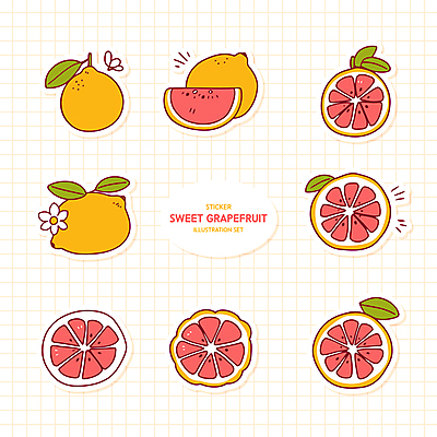 꽃 분홍색 스티커 잎 일러스트 사람없음 세트 노란색 자몽 꾸미기 다꾸 국내일러스트 AI파일 식물 컬러 과일 신조어 약어 파일형식 벡터