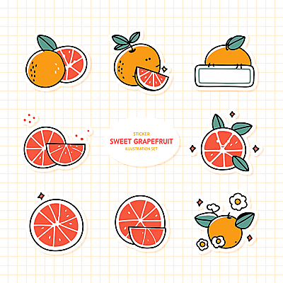 꽃 분홍색 스티커 잎 일러스트 사람없음 세트 노란색 자몽 꾸미기 다꾸 국내일러스트 AI파일 식물 컬러 과일 신조어 약어 파일형식 벡터