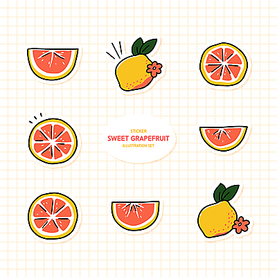 꽃 스티커 잎 일러스트 사람없음 세트 노란색 주황색 자몽 꾸미기 다꾸 국내일러스트 AI파일 식물 컬러 과일 신조어 약어 파일형식 벡터