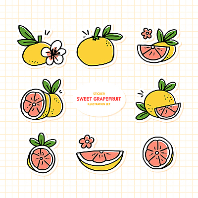 꽃 분홍색 스티커 잎 일러스트 사람없음 세트 노란색 자몽 꾸미기 다꾸 국내일러스트 AI파일 식물 컬러 과일 신조어 약어 파일형식 벡터