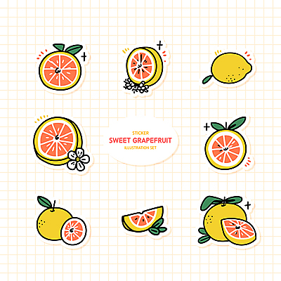 꽃 스티커 잎 일러스트 사람없음 세트 노란색 주황색 자몽 꾸미기 다꾸 국내일러스트 AI파일 식물 컬러 과일 신조어 약어 파일형식 벡터