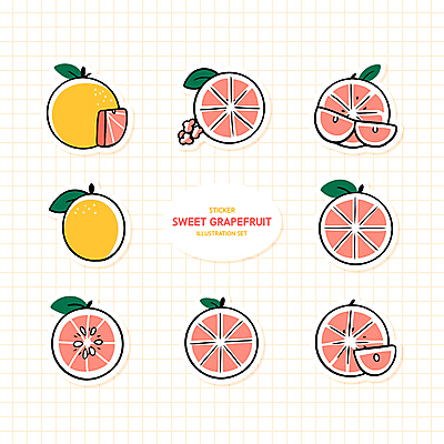꽃 분홍색 스티커 잎 일러스트 사람없음 세트 노란색 자몽 꾸미기 다꾸 국내일러스트 AI파일 식물 컬러 과일 신조어 약어 파일형식 벡터