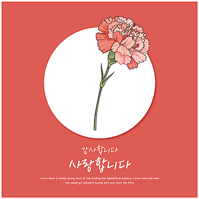 잎 한송이 일러스트 사랑 사람없음 어버이날 스승의날 카네이션 감사 가정의달 다홍색 국내일러스트 AI파일 식물 1 기념일 꽃 감정 컬러 5월 송이 파일형식 벡터