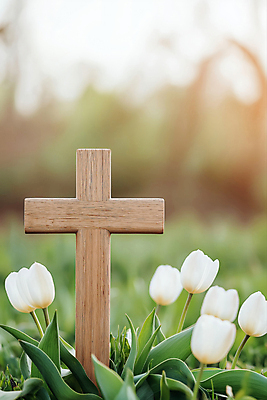 JPG 편집이미지 기독교 백그라운드 잔디 사람없음 햇빛 평화 천주교 튤립 풀잎 나무십자가 편집실사 AI포토 AI콘텐츠 식물 꽃 종교 컨셉 십자가 잎 태양 풀_식물 CG 파일형식