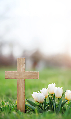 JPG 편집이미지 기독교 백그라운드 잔디 사람없음 햇빛 평화 천주교 튤립 풀잎 나무십자가 편집실사 AI포토 AI콘텐츠 식물 꽃 종교 컨셉 십자가 잎 태양 풀_식물 CG 파일형식