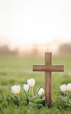 JPG 편집이미지 기독교 백그라운드 잔디 사람없음 햇빛 평화 천주교 튤립 풀잎 나무십자가 편집실사 AI포토 AI콘텐츠 식물 꽃 종교 컨셉 십자가 잎 태양 풀_식물 CG 파일형식