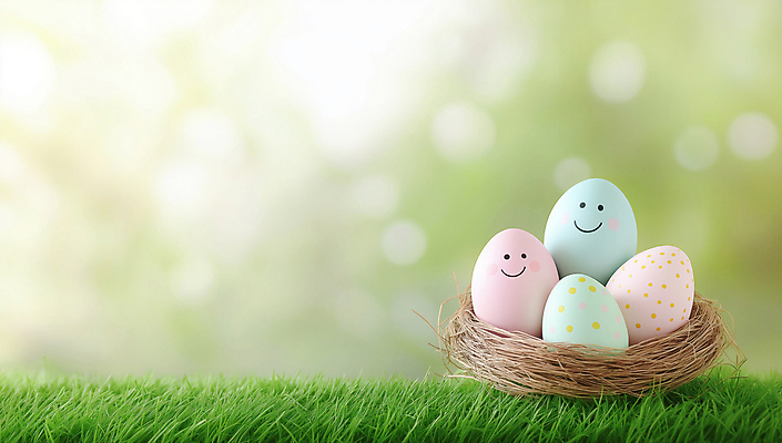 JPG 편집이미지 기독교 잔디 사람없음 평화 천주교 둥지 부활절계란 보케 카피스페이스 편집실사 AI포토 AI콘텐츠 식물 종교 컨셉 부활절 계란 공백 CG 파일형식