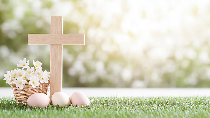 JPG 편집이미지 기독교 잔디 사람없음 햇빛 평화 천주교 부활절계란 꽃바구니 카피스페이스 편집실사 AI포토 AI콘텐츠 식물 꽃 종교 컨셉 부활절 태양 바구니 계란 공백 CG 파일형식