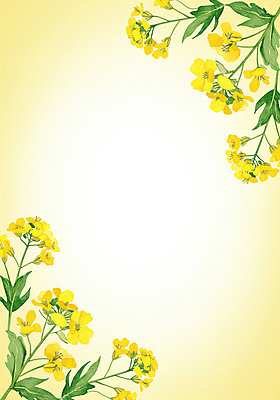 JPG 잎 일러스트 수채화 사람없음 노란색 유채 꽃프레임 카피스페이스 국내일러스트 AI일러스트 AI콘텐츠 식물 꽃 컬러 프레임 공백 파일형식