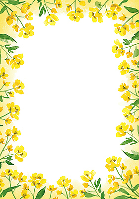 JPG 잎 일러스트 수채화 사람없음 노란색 유채 꽃프레임 카피스페이스 국내일러스트 AI일러스트 AI콘텐츠 식물 꽃 컬러 프레임 공백 파일형식