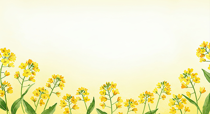 JPG 잎 일러스트 수채화 사람없음 노란색 유채 꽃프레임 카피스페이스 국내일러스트 AI일러스트 AI콘텐츠 식물 꽃 컬러 프레임 공백 파일형식