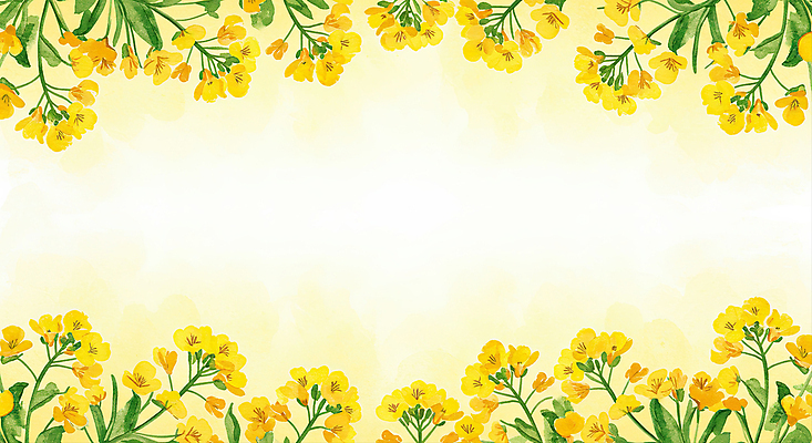 JPG 잎 일러스트 수채화 사람없음 노란색 유채 꽃프레임 카피스페이스 국내일러스트 AI일러스트 AI콘텐츠 식물 꽃 컬러 프레임 공백 파일형식
