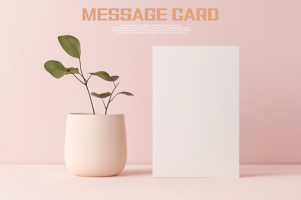 PSD 식물 편집이미지 화분 분홍색 들기 사람없음 카피스페이스 편집소스 이미지편집 컬러 모션 공백 파일형식