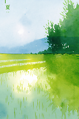 PSD 일러스트 자연 하늘 수채화 산 풍경 사람없음 여름 반사 수면 여름하 청보리밭 국내일러스트 계절 밭 물 한자 생태계 파일형식