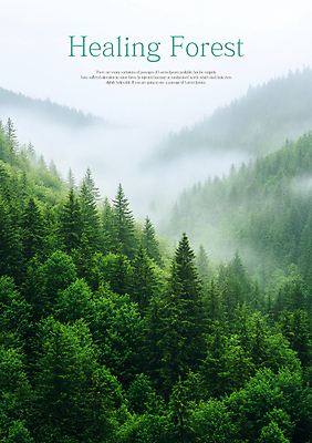 PSD 나무 편집이미지 자연 산 풍경 사람없음 안개 숲 힐링 이미지편집 식물 날씨 생태계 파일형식