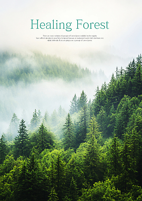 PSD 나무 편집이미지 자연 산 풍경 사람없음 안개 숲 힐링 이미지편집 식물 날씨 생태계 파일형식