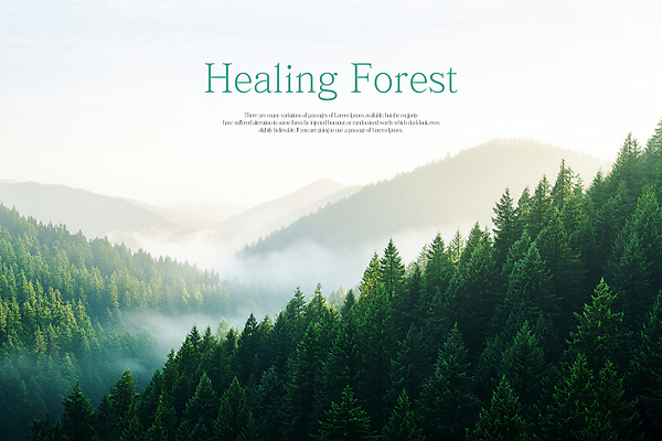 PSD 나무 편집이미지 자연 하늘 산 풍경 사람없음 안개 숲 힐링 이미지편집 식물 날씨 생태계 파일형식